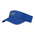 BUDGET SAVER NON-WOVEN VISOR