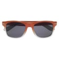 Gradient Malibu Sunglasses