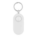 Push Pop Stress Reliever Key Tag