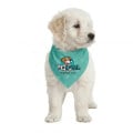 ROVERREADY Pet Bandana