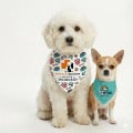 ROVERREADY Pet Bandana
