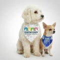 ROVERREADY Pet Bandana
