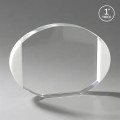 Darwin VividPrint™ Award - White