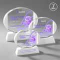 Darwin VividPrint™ Award on Newhaven Base - White