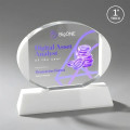 Darwin VividPrint™ Award on Newhaven Base - White