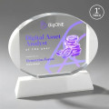 Darwin VividPrint™ Award on Newhaven Base - White