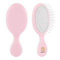 Travel Hair Brush
