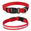 Light Up Rechargable Pet Collar - Medium