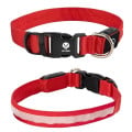 Light Up Rechargable Pet Collar - Medium
