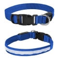Light Up Rechargable Pet Collar - Medium