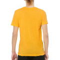 Bella Canvas Unisex Triblend Short Sleeve Tees