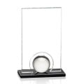 Icarus VividPrint™ Award