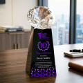 Novita VividPrint™ Award - Black/Diamond