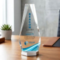 Paulson VividPrint™ Award