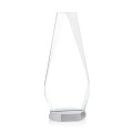 Paulson VividPrint™ Award