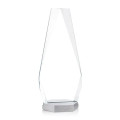 Paulson VividPrint™ Award