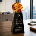 Novita Award - Black/Amber