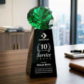 Novita Award - Black/Emerald