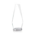 Paulson Award