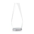 Paulson Award
