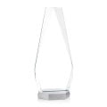Paulson Award