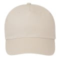 Price Buster Cap