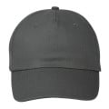 Price Buster Cap