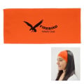 Cooling Headband