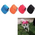 Dog Baseball Cap