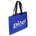 Landscape Recyclable Non-Woven Shopping Bag