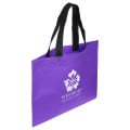 Landscape Recyclable Non-Woven Shopping Bag