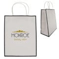 Laminated Paper Gift Bag