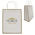 Laminated Paper Gift Bag