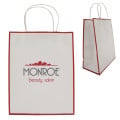 Laminated Paper Gift Bag