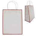 Laminated Paper Gift Bag