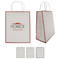 Laminated Paper Gift Bag