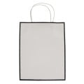 Laminated Paper Gift Bag