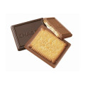 Rectangle Chocolate Cookie