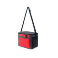 Kerry 8 Can Cooler Bag