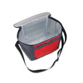 Kerry 8 Can Cooler Bag