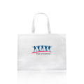 Delhi Jumbo Sized Tote Bags