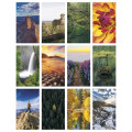 Triumph® Calendars Motivations Desk Pad