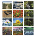 Triumph® Calendars Motivations Desk Pad