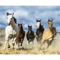 Triumph® Calendars Motivations Desk Pad