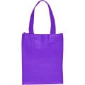 Non-Woven Small Gift Bags