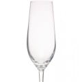 8 oz. Lead Free Crystal Champagne Glasses