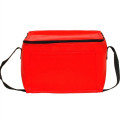 Zipper Top Insulated Lunch Bags