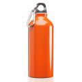 20 oz. Aluminum Water Bottles