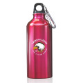 20 oz. Aluminum Water Bottles