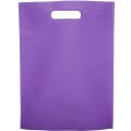 Non-Woven Exhibition Tote Bag